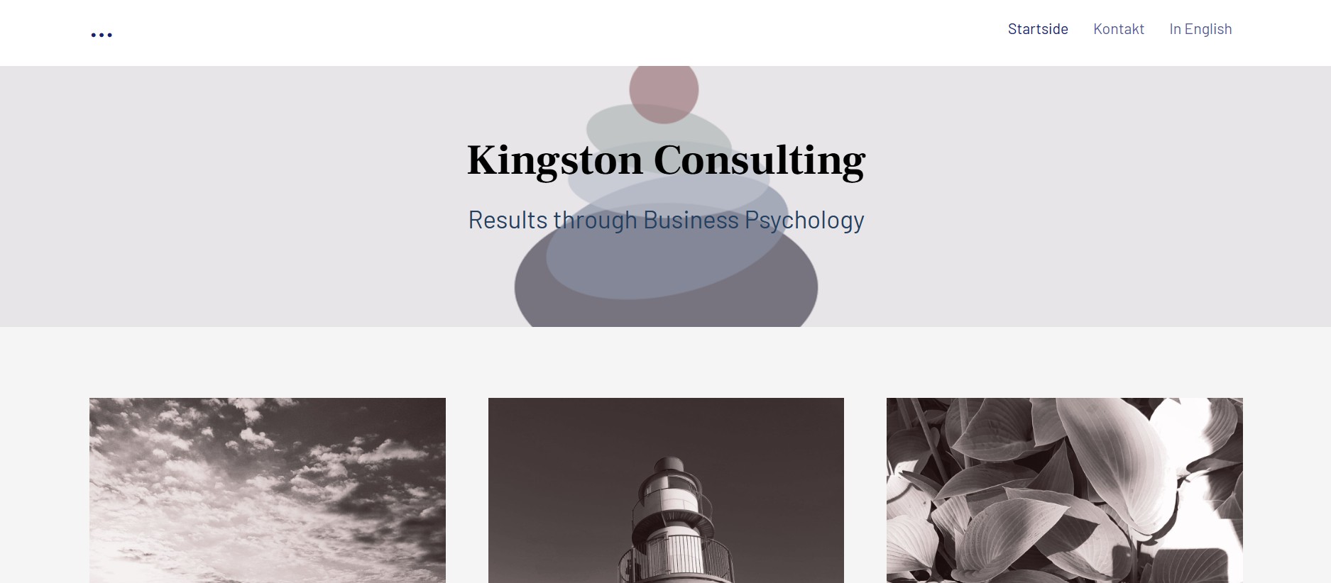 Kingston Consulting Project